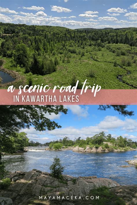 Kawartha Lakes Best SEO Agency & Digital Marketing .